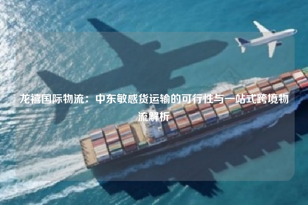 龙禧国际物流：中东敏感货运输的可行性与一站式跨境物流解析