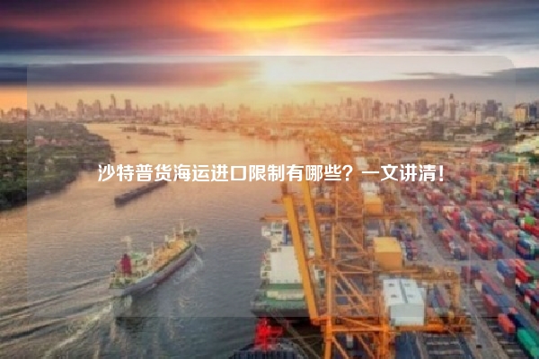 沙特普货海运进口限制有哪些？一文讲清！