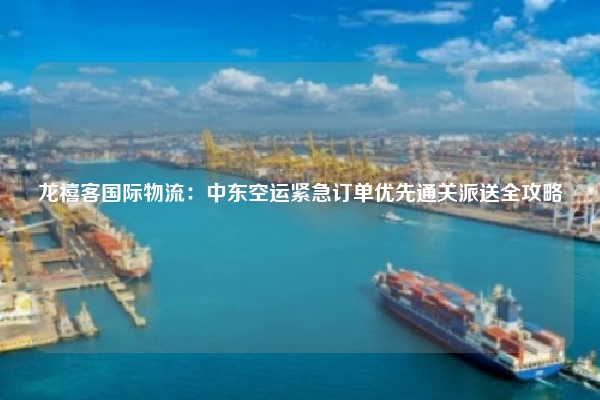 龙禧客国际物流：中东空运紧急订单优先通关派送全攻略