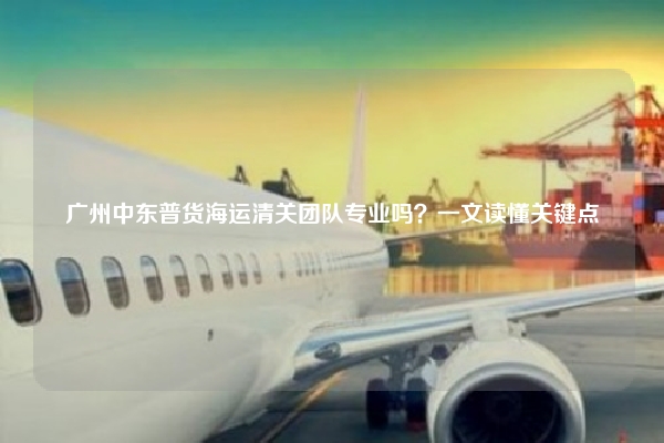 广州中东普货海运清关团队专业吗？一文读懂关键点